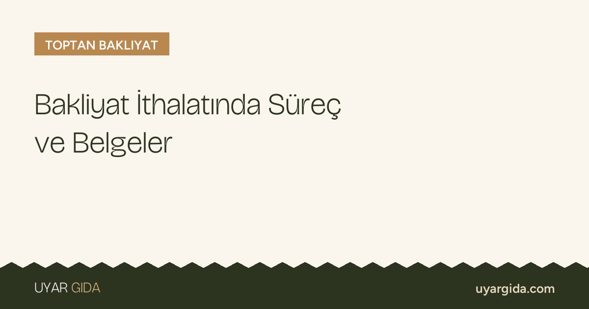 Bakliyat İthalatında Süreç ve Belgeler