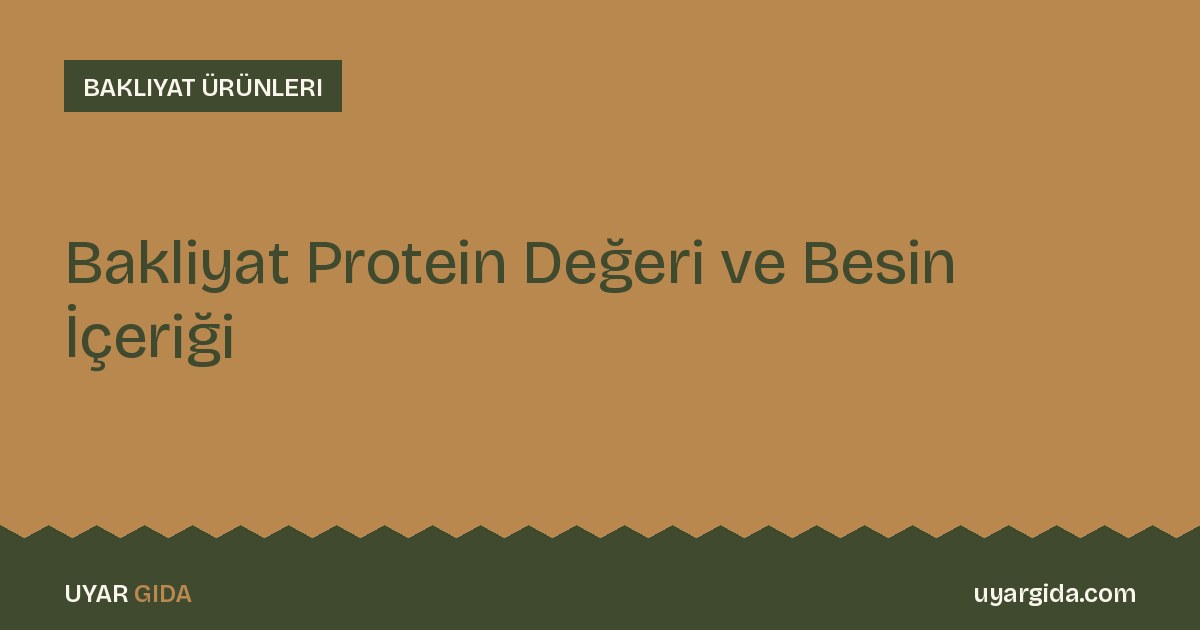 Bakliyat Protein Değeri ve Besin İçeriği