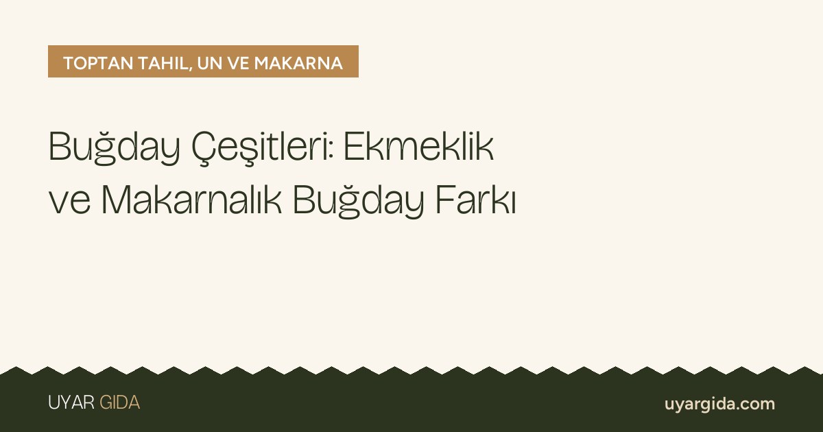 Buğday Çeşitleri: Ekmeklik ve Makarnalık Buğday Farkı