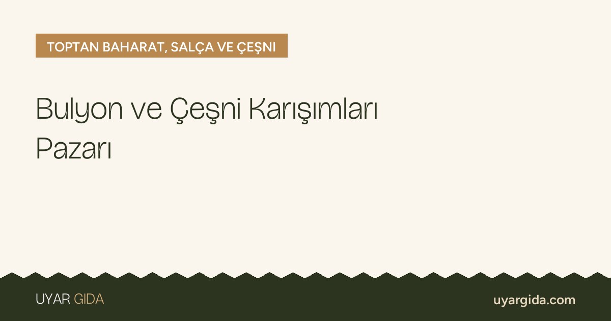 Bulyon ve Çeşni Karışımları Pazarı