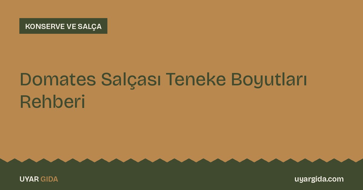 Domates Salçası Teneke Boyutları Rehberi