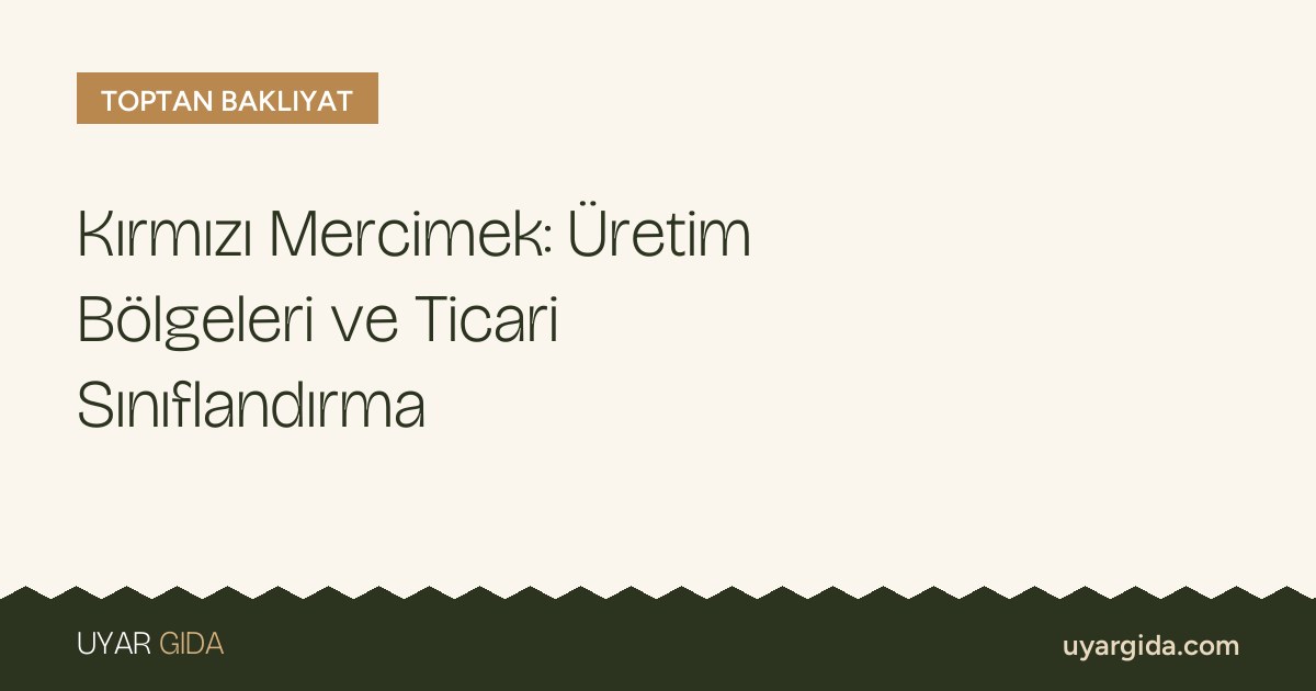 Kırmızı Mercimek: Üretim Bölgeleri ve Ticari Sınıflandırma