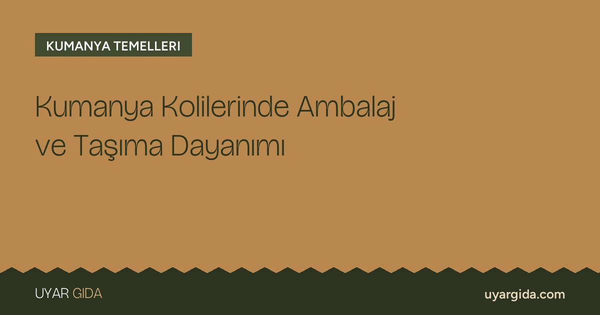 Kumanya Kolilerinde Ambalaj ve Taşıma Dayanımı