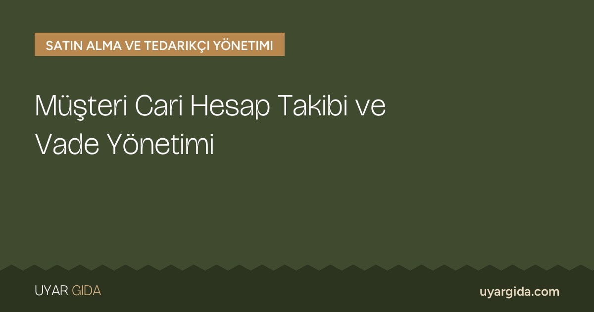 Müşteri Cari Hesap Takibi ve Vade Yönetimi