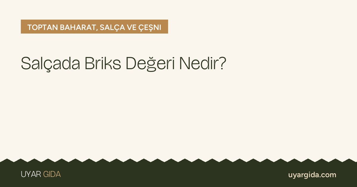Salçada Briks Değeri Nedir?