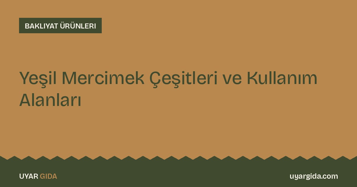 Yeşil Mercimek Çeşitleri ve Kullanım Alanları